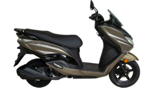 BURGMAN FI