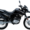DR150 - Imagen 3